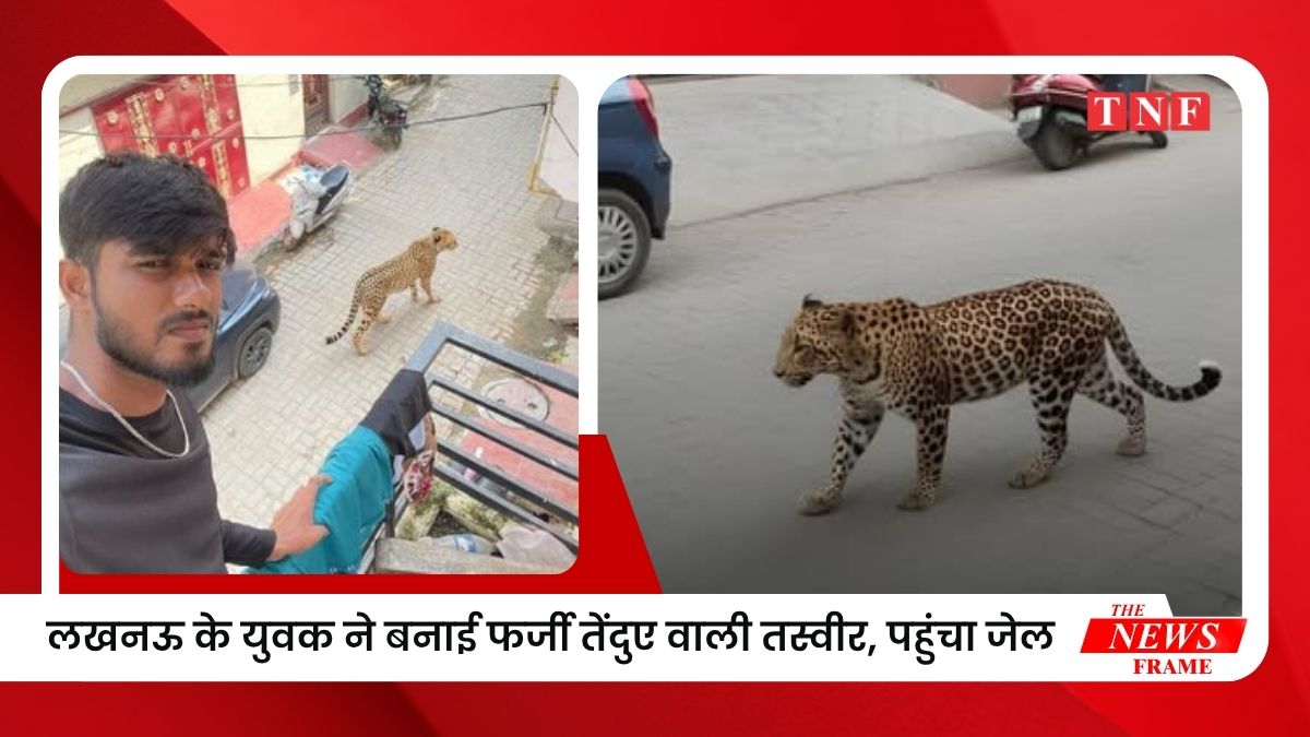 AI की शरारत बनी सजा का कारण! लखनऊ के युवक ने बनाई फर्जी तेंदुए वाली तस्वीर, पहुंचा जेल