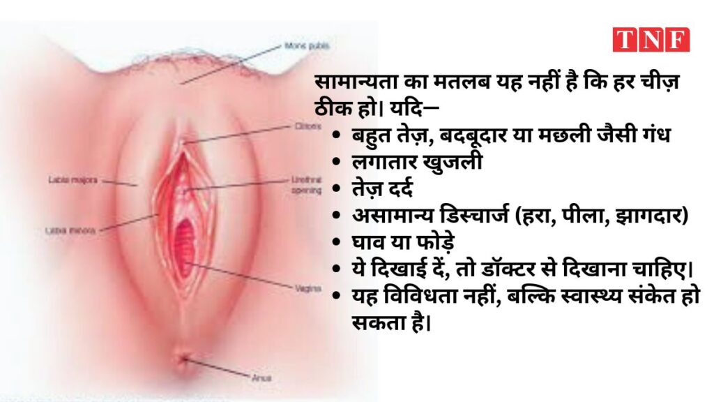 क्या योनियाँ एक जैसी होती हैं? किन लक्षणों को असामान्य माना जाता है? सच आइये जानते हैं। 1 THE NEWS FRAME