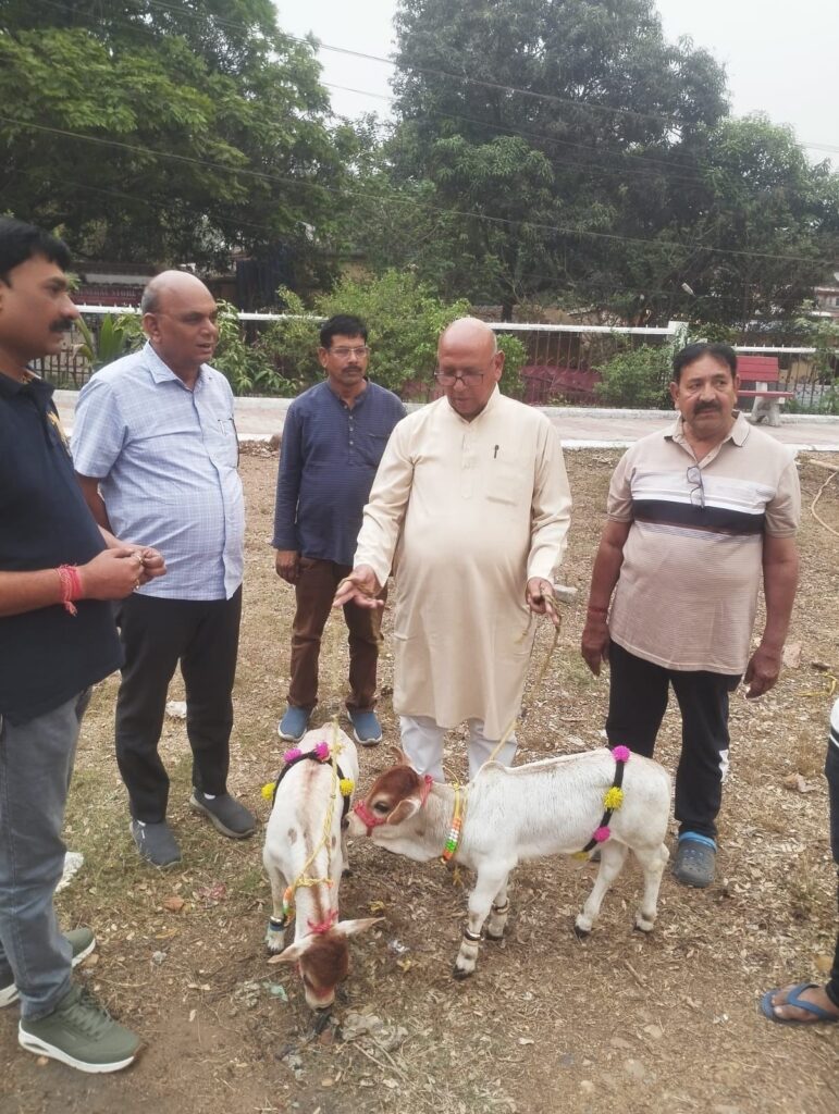 जमशेदपुर के श्रीलक्ष्मीनारायण मंदिर में पाली जाएंगी मिनियेचर Nano गायें, गोसेवा क्षेत्र बनाने की तैयारी 1 THE NEWS FRAME