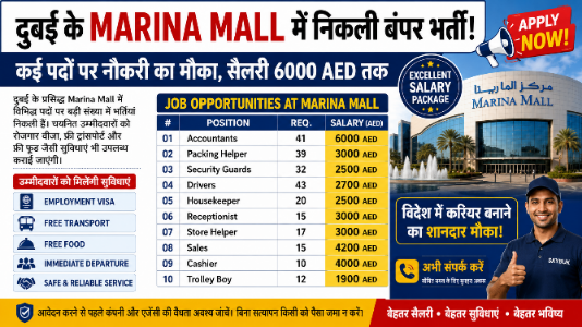 Dubai Job Vacancy 2026: Marina Mall में रोजगार का बड़ा अवसर 1 THE NEWS FRAME
