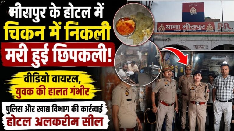 Meerapur होटल के चिकन में निकली मरी हुई छिपकली युवक की बिगड़ी हालत प्रशासन ने होटल किया सील 8 Meerapur होटल के चिकन में निकली मरी हुई छिपकली युवक की बिगड़ी हालत प्रशासन ने होटल किया सील