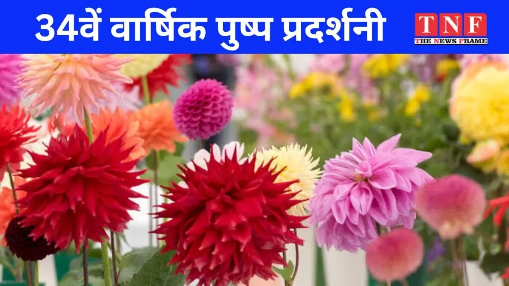 गुलाब रोग और पोषक तत्व प्रबंधन पर कार्यशाला। 5 गुलाब