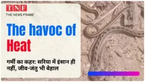 THE NEWS FRAME