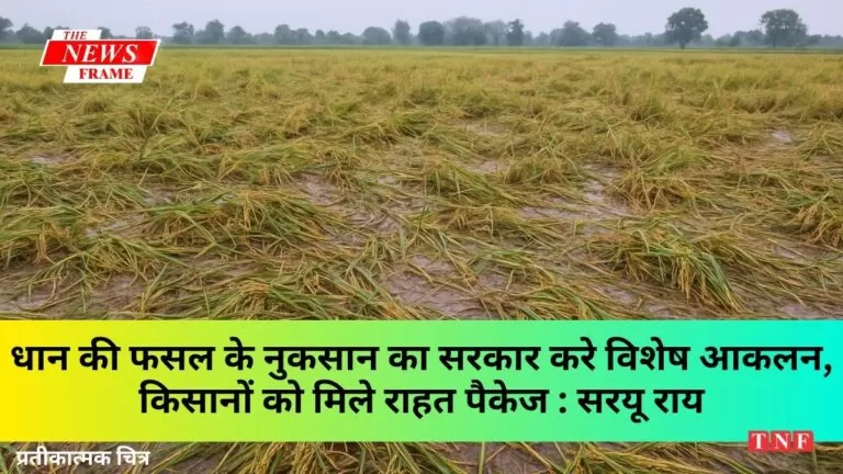 धान की फसल के नुकसान का सरकार करे विशेष आकलन, किसानों को मिले राहत पैकेजः सरयू राय 11 धान की फसल के नुकसान का सरकार करे विशेष आकलन, किसानों को मिले राहत पैकेजः सरयू राय