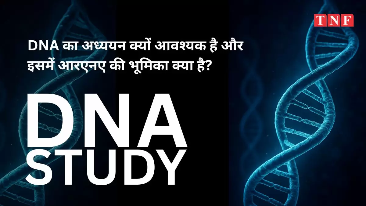 DNA का अध्ययन क्यों आवश्यक है और इसमें आरएनए की भूमिका क्या है? - एक विश्लेषणात्मक लेख