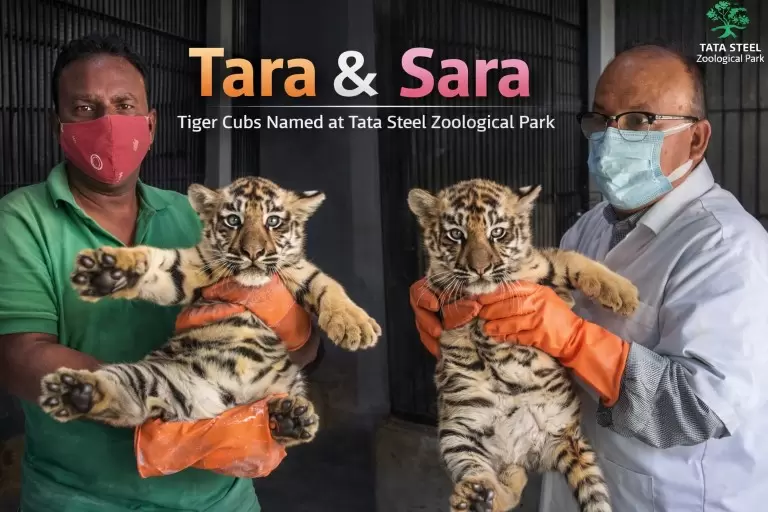 ChatGPT Image Jan 23 2026 09 58 49 PM