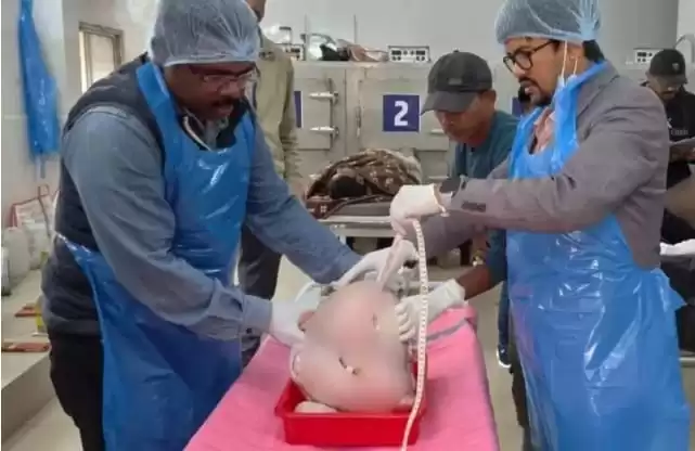 WhatsApp Image 2026 01 29 At 12.09.51 PM