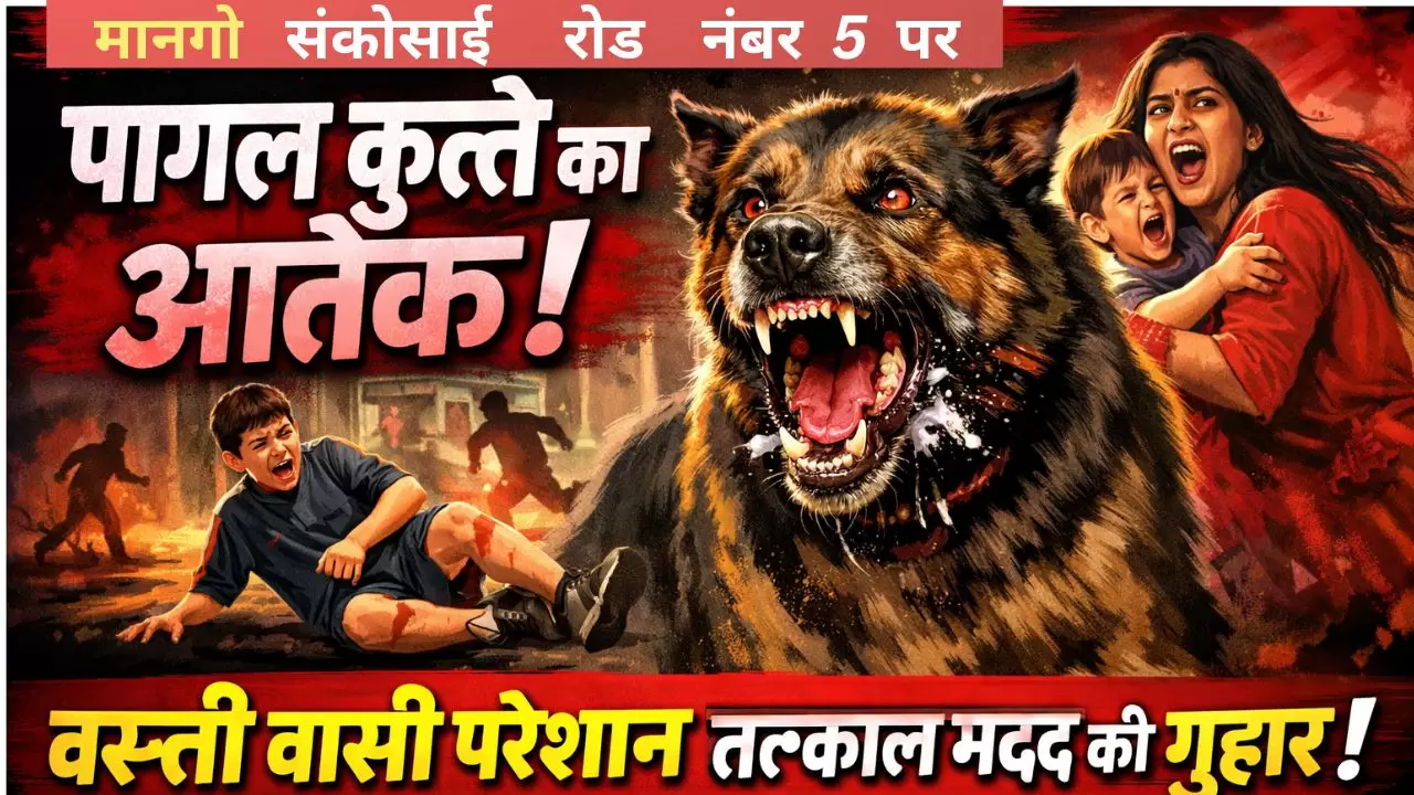 DM की अध्यक्षता में आपूर्ति विभाग की गहन समीक्षा बैठक 1