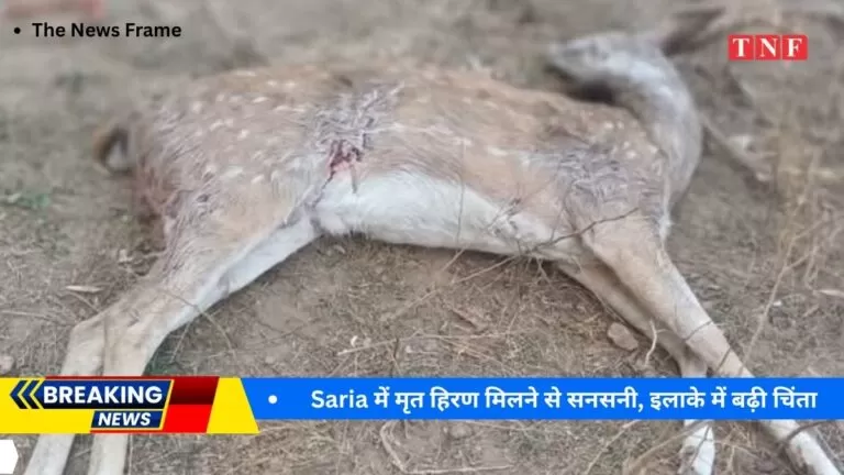 Saria में मृत हिरण मिलने से सनसनी