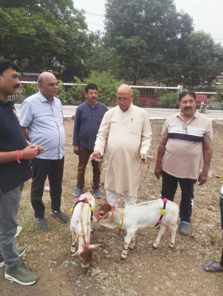 जमशेदपुर के श्रीलक्ष्मीनारायण मंदिर में पाली जाएंगी मिनियेचर Nano गायें, गोसेवा क्षेत्र बनाने की तैयारी 4 THE NEWS FRAME