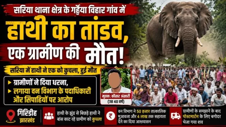 सरिया थाना क्षेत्र के गढ़ैया विहार गांव में हाथी का तांडव, एक ग्रामीण की मौत से पसरा मातम