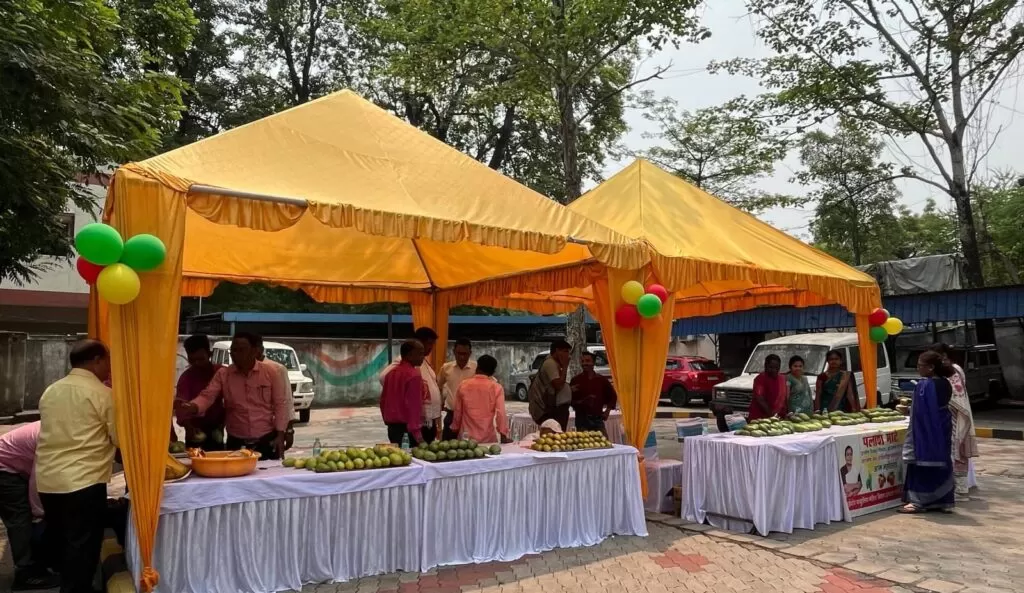 Collectorate परिसर में सजा आम महोत्सव किसानों के उत्पादों को मिला सीधा बाजार 1074 किलोग्राम आम की हुई बिक्री 5 THE NEWS FRAME