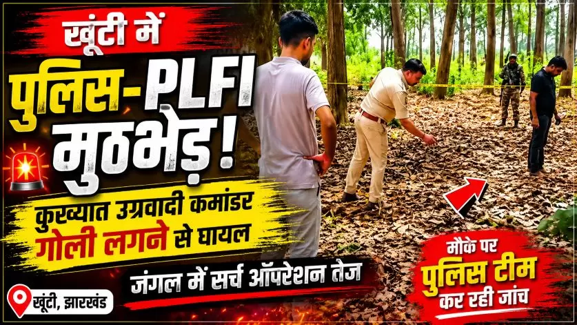 Plfi
