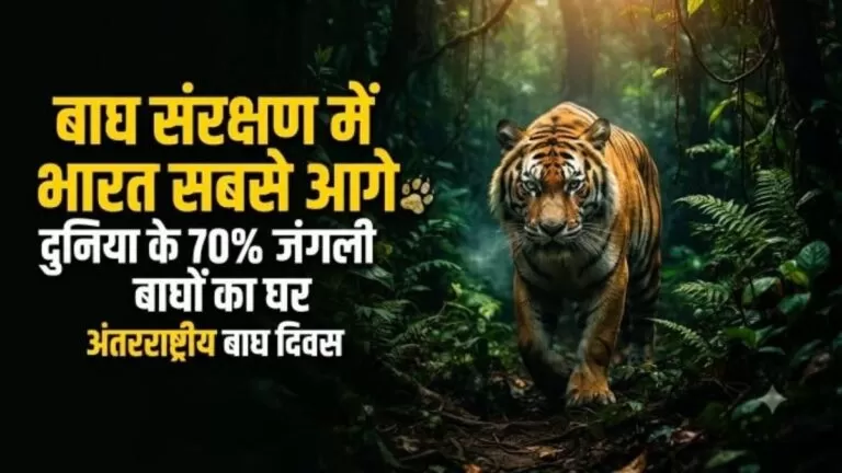 अंतरराष्ट्रीय Tiger दिवस विशेष बाघों की सुरक्षा से सुरक्षित होगा भारत का पर्यावरण और भविष्य 1 अंतरराष्ट्रीय Tiger दिवस विशेष बाघों की सुरक्षा से सुरक्षित होगा भारत का पर्यावरण और भविष्य