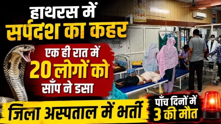 Hathras में सर्पदंश का कहर एक ही रात में 20 लोगों को सांप ने डसा जिला अस्पताल में भर्ती पांच दिनों में तीन की मौत 7 Hathras में सर्पदंश का कहर एक ही रात में 20 लोगों को सांप ने डसा जिला अस्पताल में भर्ती पांच दिनों में तीन की मौत